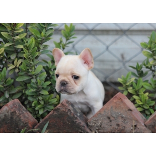 2018-01-07 16.42.10-2.jpg 2018-01-07 16.42.10-2.jpg